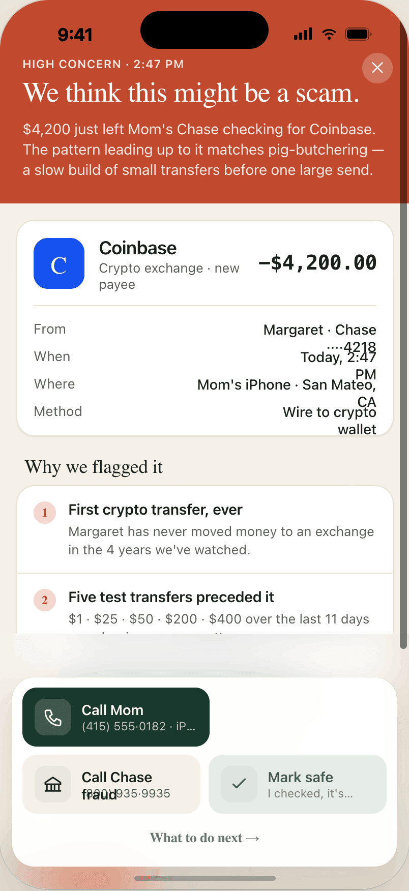 A scam alert detail screen explaining why a transfer was flagged